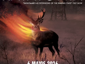 %100 Metal Sunar: Katatonia